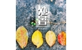 明日處暑，你舍得和夏天說再見嗎？