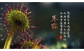 今日寒露 | 裊裊涼風(fēng)動，凄凄寒露零